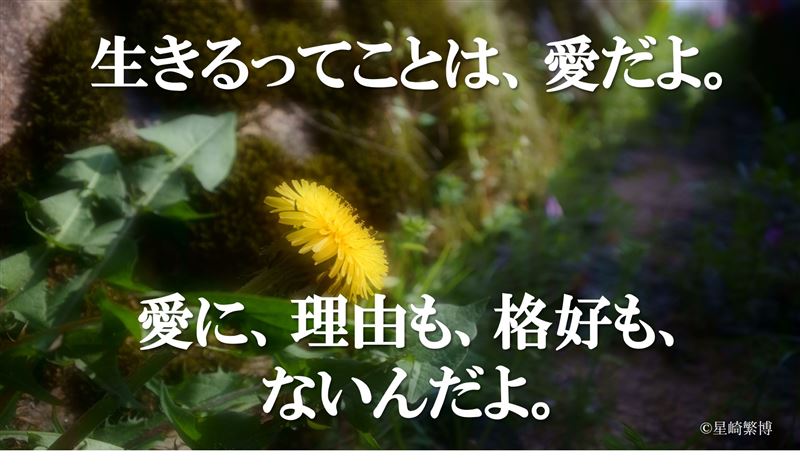 運命を変える,言葉の力,奇跡,出会い