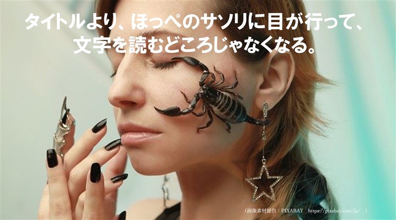 �摜�f��,�f�U�C��,�G,�摜���p