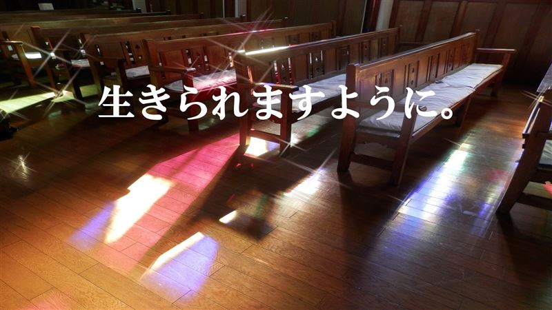 ひな祭り,メイク・ア・ウイッシュ,おひな様,古代笛,オカリナ,白血病,骨髄移植,夢をかなえる,難病