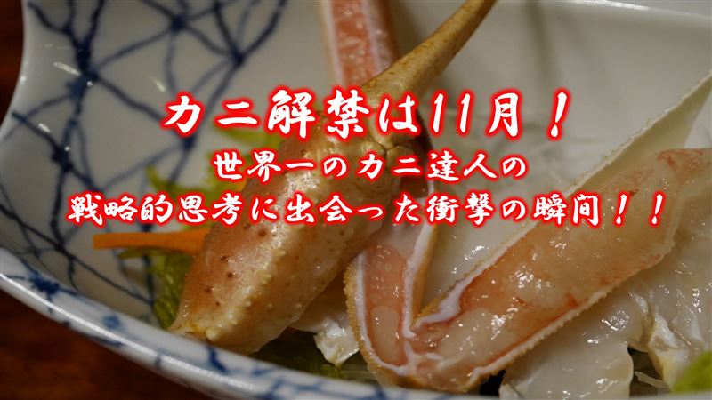 �J�j���ւ�11���I���E��̃J�j�B�l�̐헪�I�v�l�ɏo������Ռ��̏u�ԁI�I