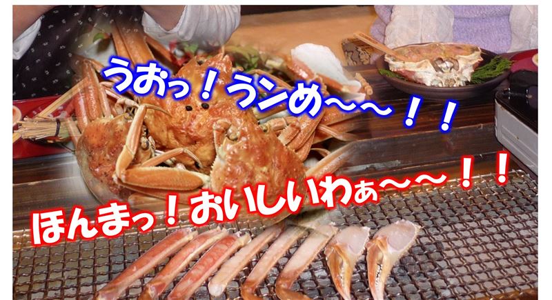 �J�j����,�Q�O�Q�O�N�I����,���Y�J�j