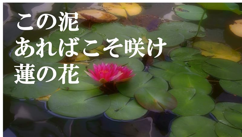 �l���̈Ӗ�,�ς����Ȃ�,�}�C�i�X�v�l,�v���X�v�l