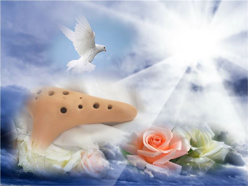 �R���i�E�C���X�ŐS�����Ă��A�����ɏΊ�ɂȂ�Ȃ��Ă���