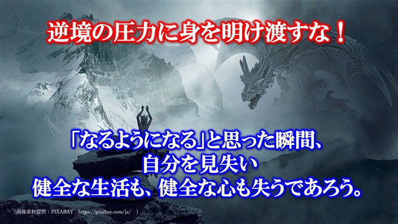 �R���i�s��,�t�������z������@,��,�q�C