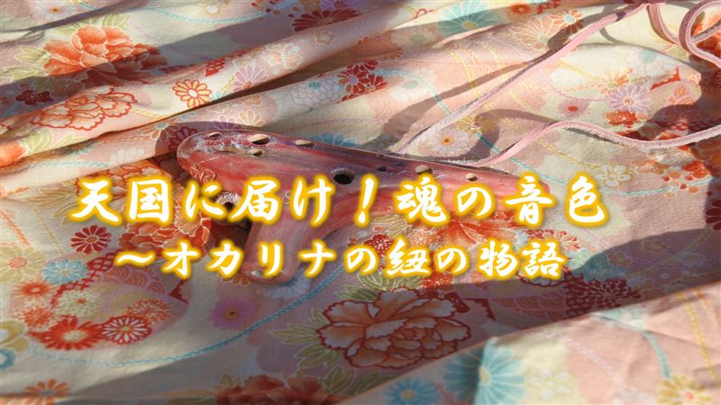 �S�ɋ�,����,����,�I�J���i