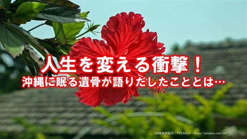 �l����ς���C����C�⍜�C���{�X�s���`���A���P�A�w��,�X�s���`���A���P�A,���a�C�⍜���W,