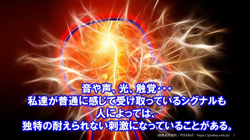 �\����,�t���[�����[�N,�s����Q