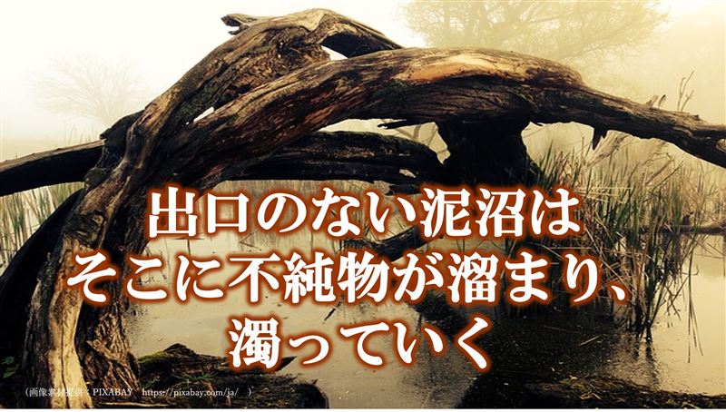 ライティング,初心者,対策