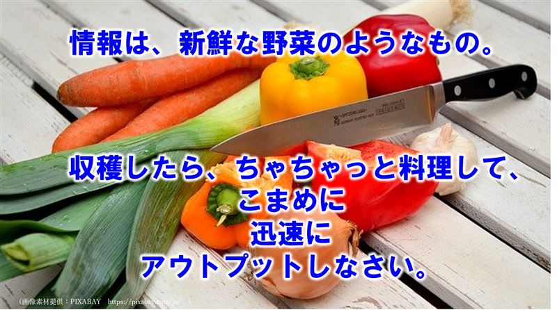 ライティング,初心者,対策