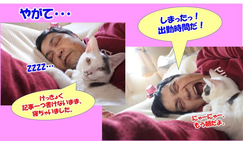 ����,���Ԃ��Ȃ�,���C�e�B���O