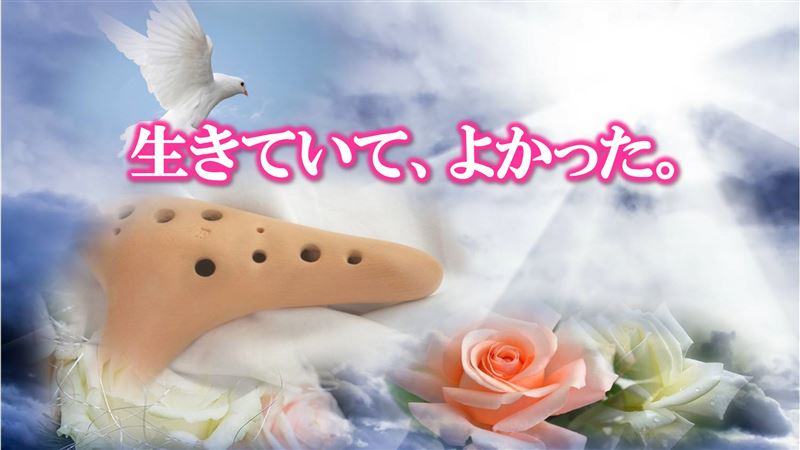 �����@���̊ԈႢ,�l��180�x�]��