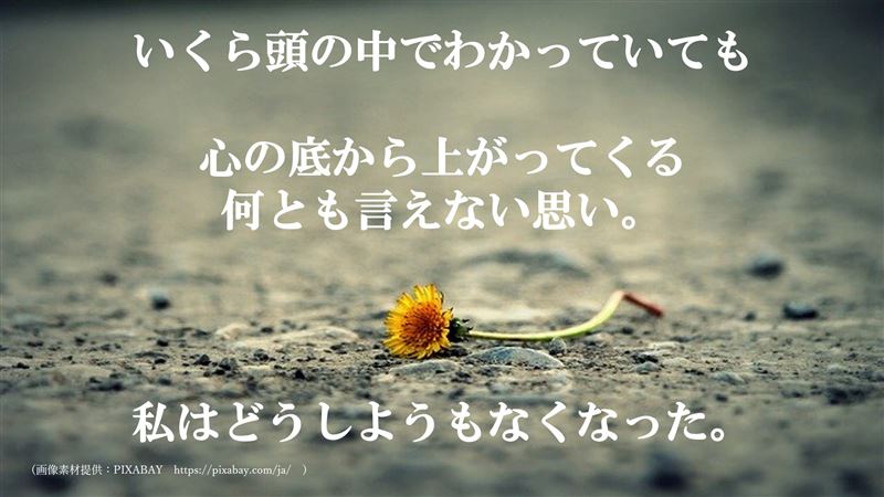 終戦記念日,黙祷,,渡辺和子,奇跡