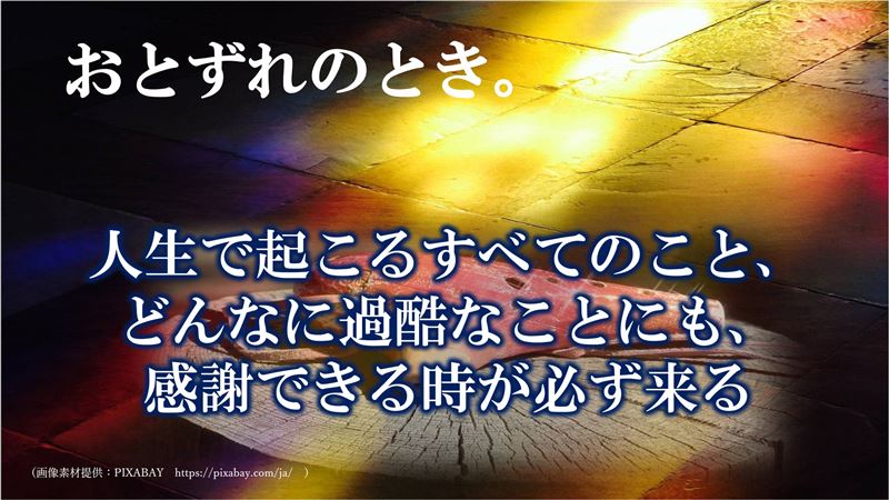 終戦記念日,黙祷,,渡辺和子,奇跡